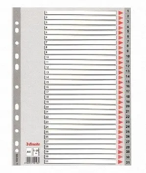 Plastmasas indeksi Esselte 100108, 100108