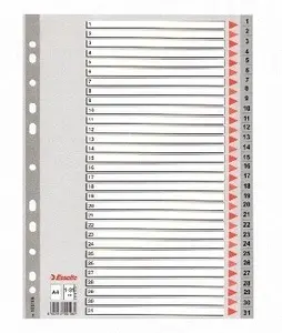 Plastic indexes Esselte 100108