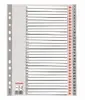 Plastic indexes Esselte 100108 Photo 2