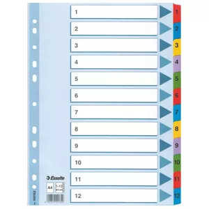 Esselte Mylar Indices & Dividers atadalītājs Daudzkrāsains 1 pcs