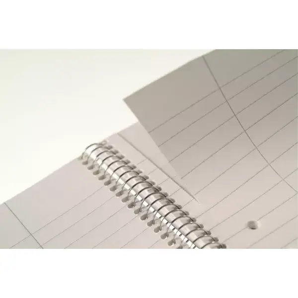 Rakstīšanas piezīmju grāmatiņa Esselte College Pad A4 Photo 2