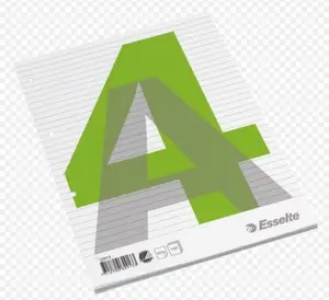 Блокнот A4 с клеевым краем Esselte 62913