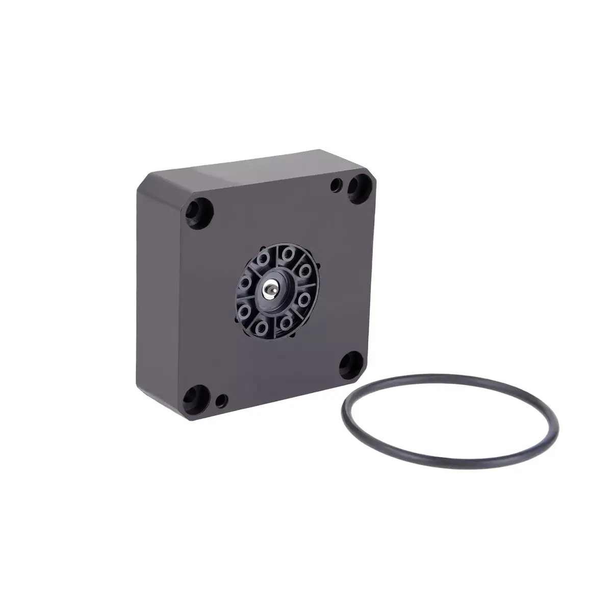 Sūknis Alphacool ES Solution Laing DDC310 Photo 3
