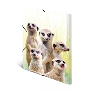Conventional file folder HERMA Meerkat troop