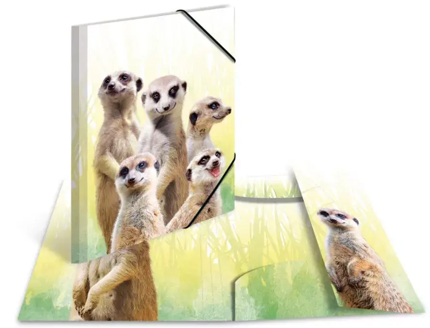 Conventional file folder HERMA Meerkat troop Photo 2