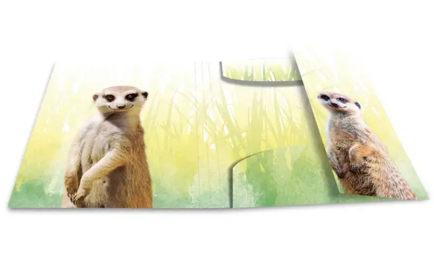 Conventional file folder HERMA Meerkat troop Photo 3
