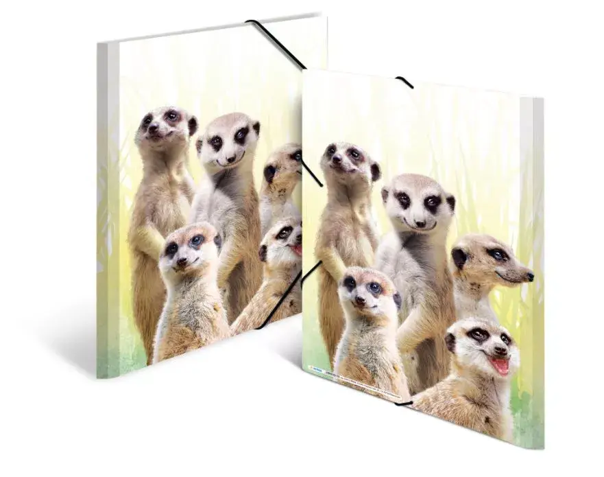 Conventional file folder HERMA Meerkat troop Photo 4