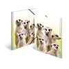 Conventional file folder HERMA Meerkat troop Photo 4