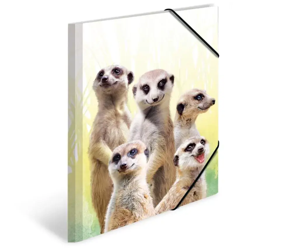 Conventional file folder HERMA Meerkat troop Photo 5