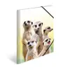Conventional file folder HERMA Meerkat troop Photo 5