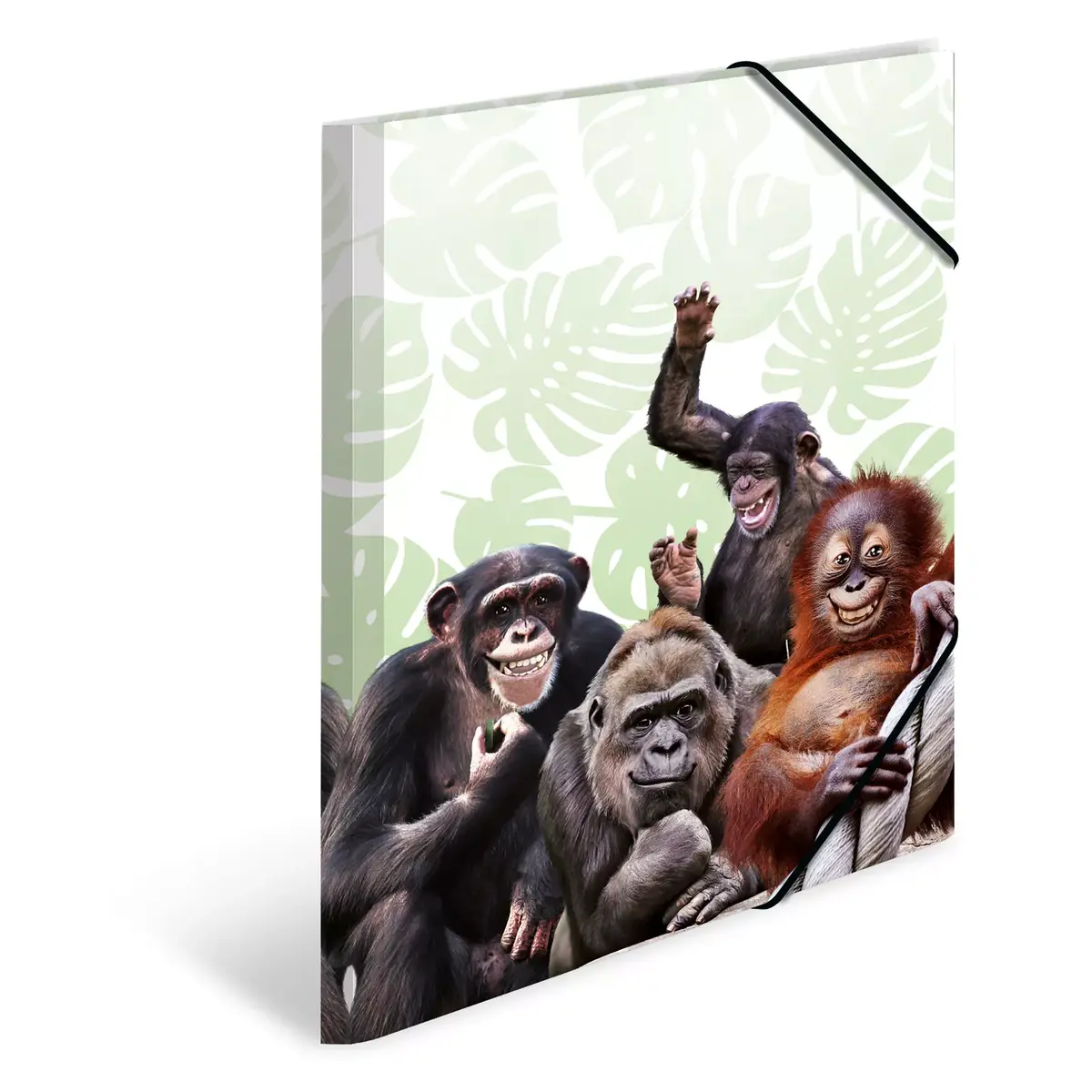 Parastā mapes HERMA Monkey gang Photo 2