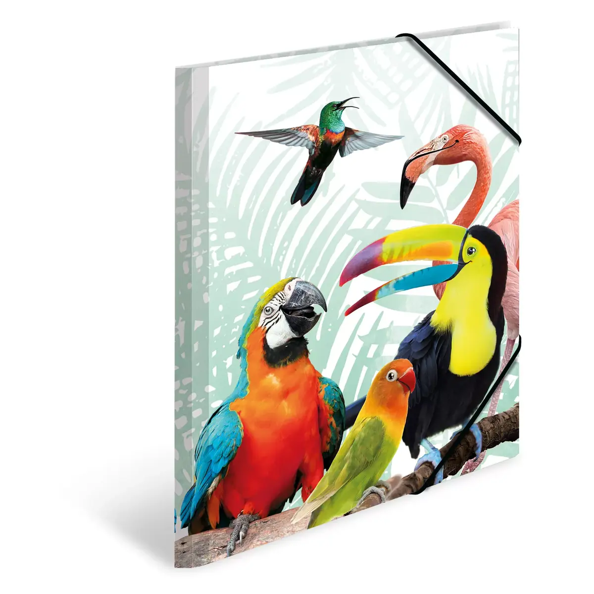 Conventional file folder HERMA Tropical clique A3 Photo 2