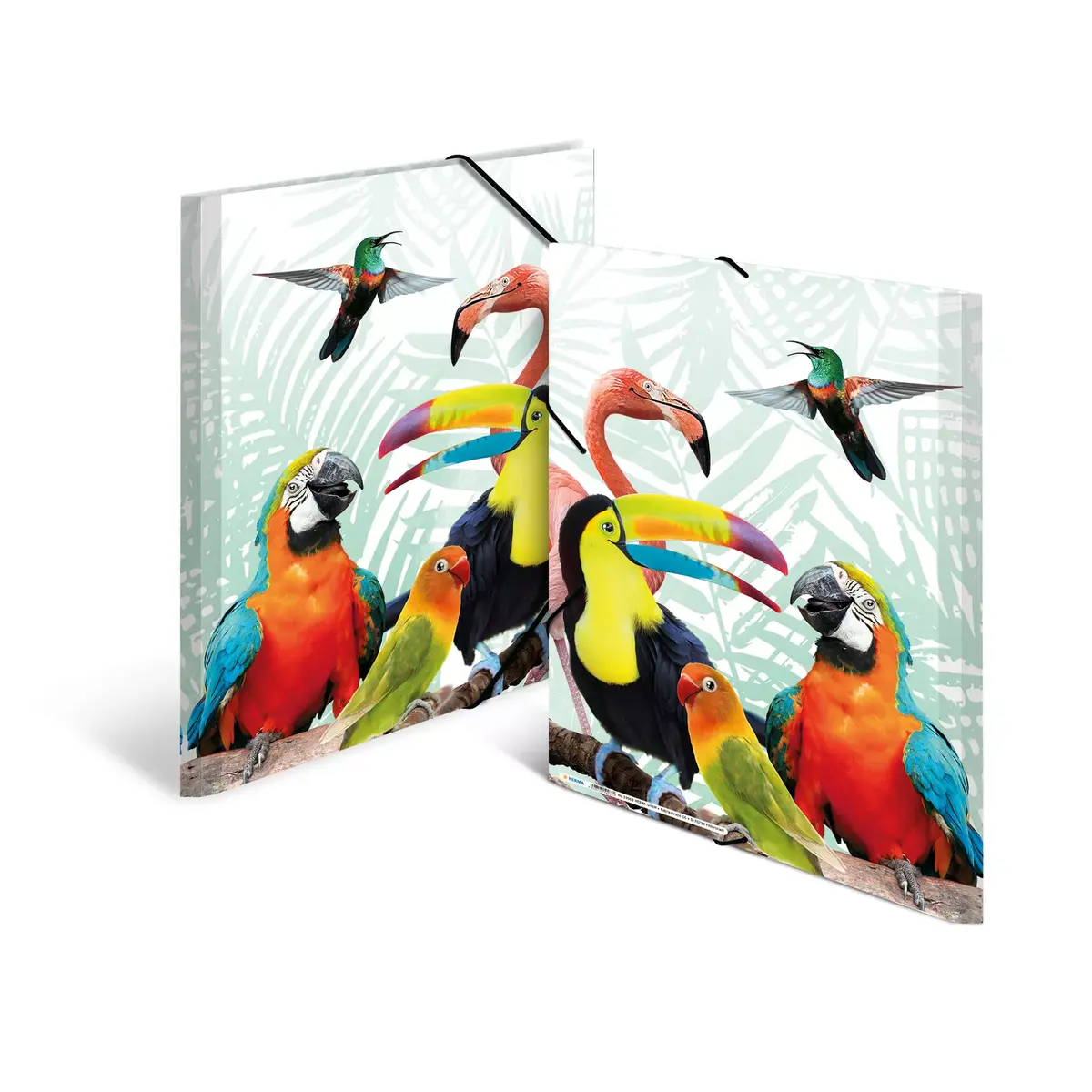 Conventional file folder HERMA Tropical clique A3 Photo 4