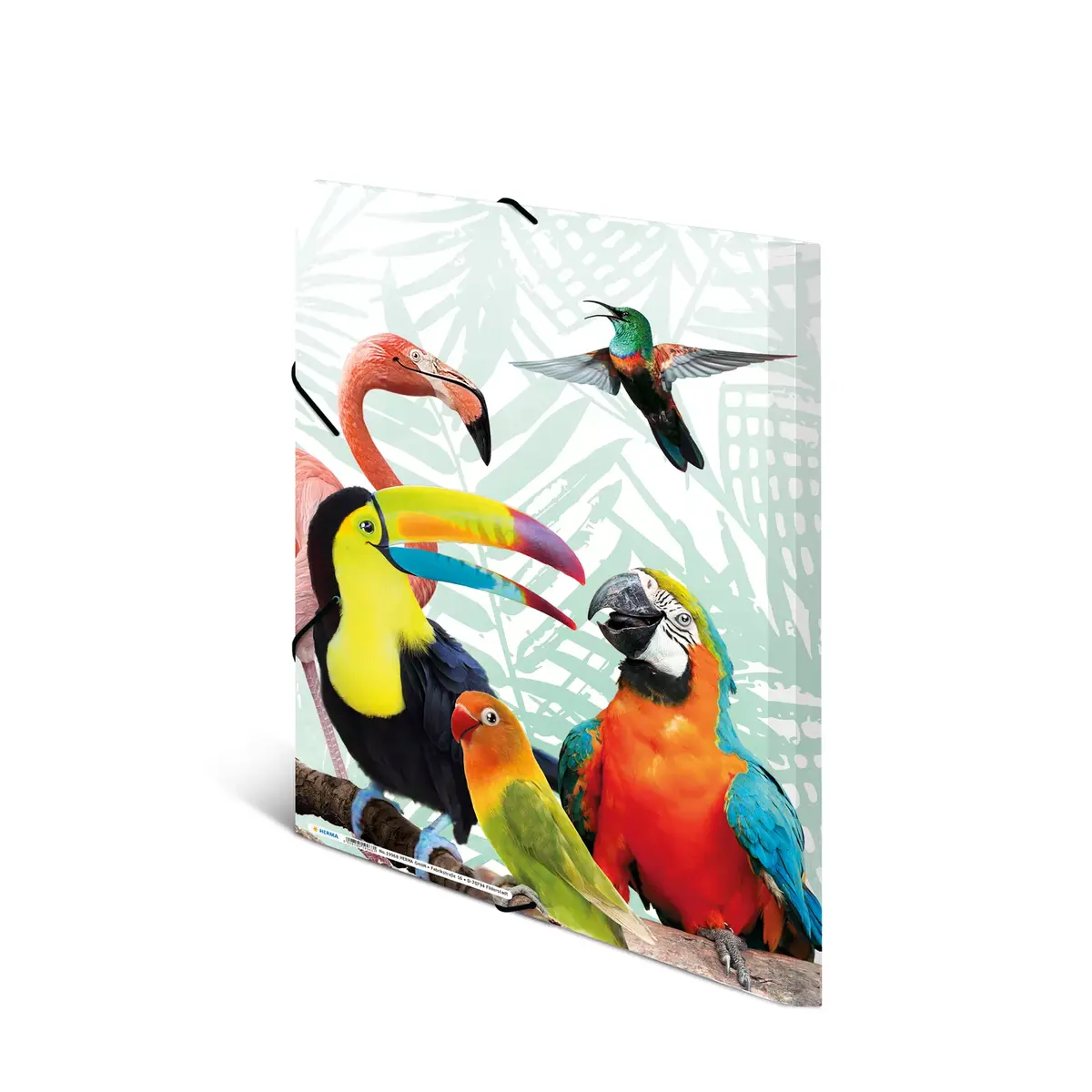 Conventional file folder HERMA Tropical clique A3 Photo 5