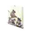 Conventional file folder HERMA Koalafamily A3 Photo 5
