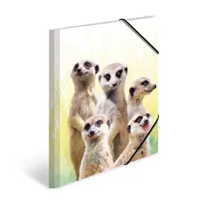 Conventional file folder HERMA Meerkat troop 19961