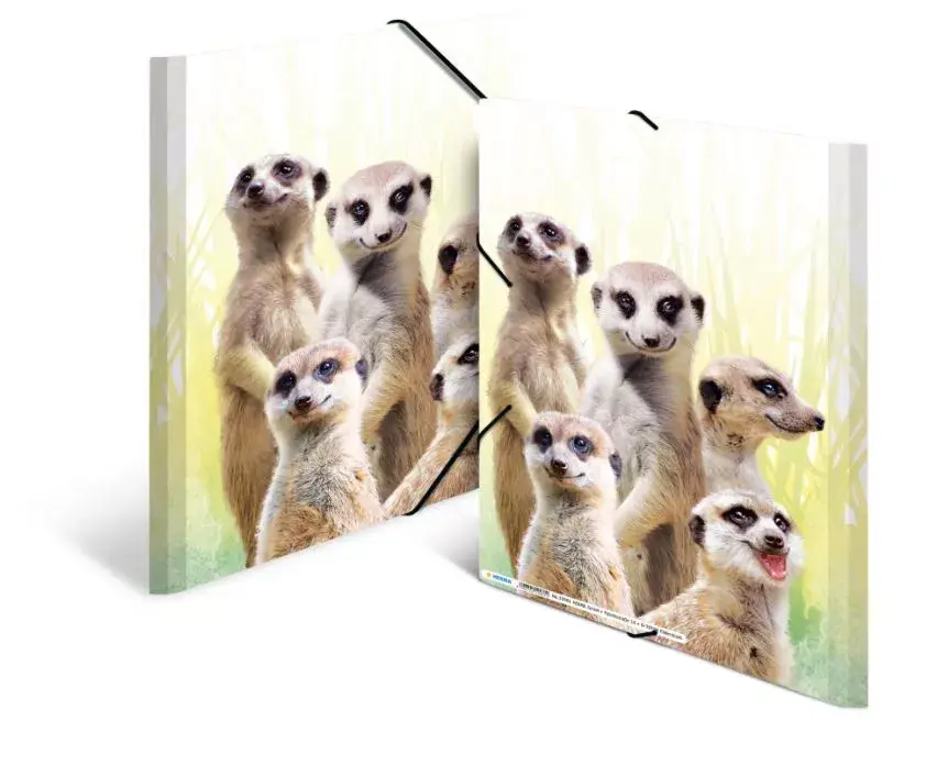 Parastais mapes HERMA Meerkat troop 19961 Photo 3