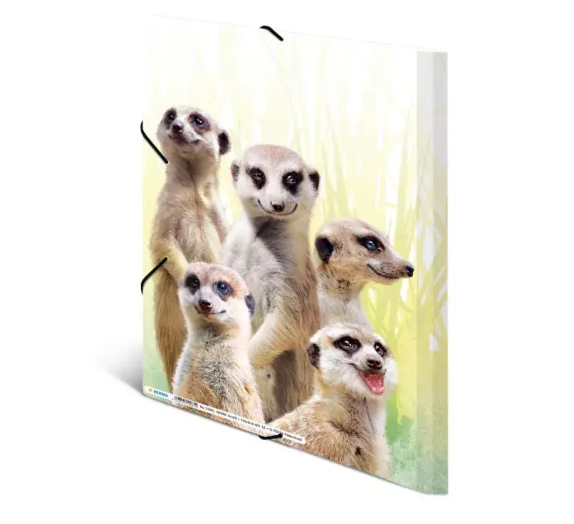 Parastais mapes HERMA Meerkat troop 19961 Photo 4
