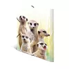 Parastais mapes HERMA Meerkat troop 19961 Photo 4