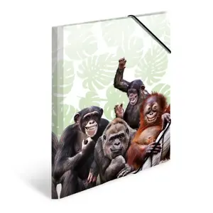 Conventional file folder HERMA Monkey gang 19960