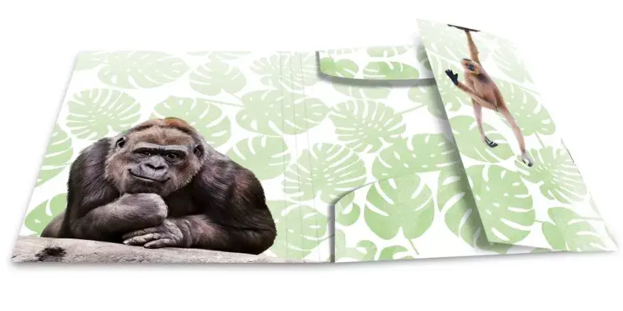 Conventional file folder HERMA Monkey gang 19960 Photo 2