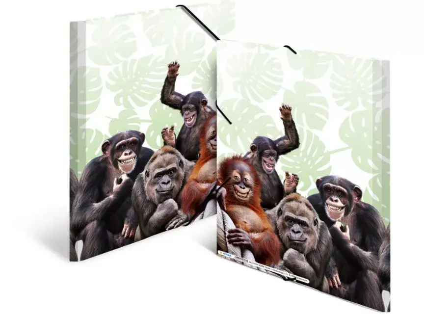 Conventional file folder HERMA Monkey gang 19960 Photo 3