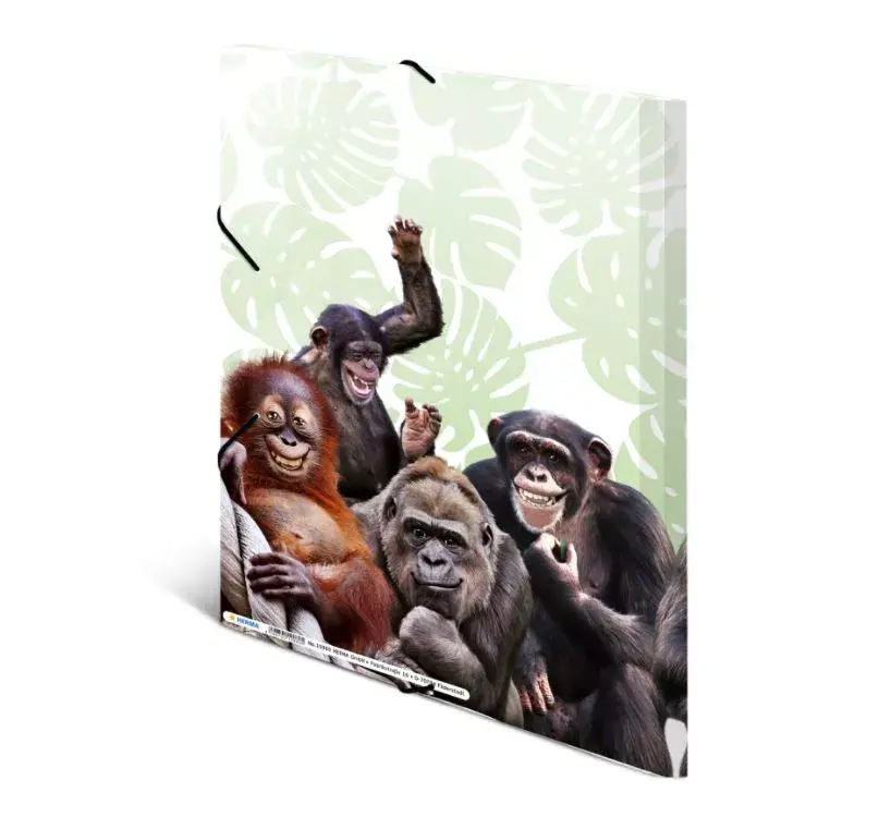 Conventional file folder HERMA Monkey gang 19960 Photo 4