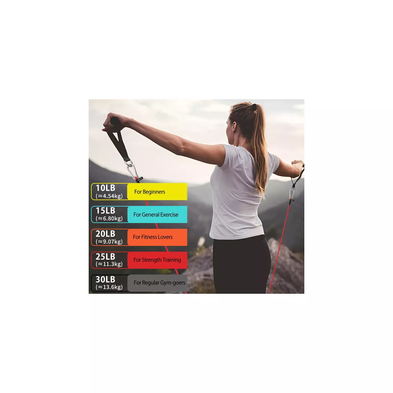PROIRON Exercise Resistance Bands Set PRO-LLS01-1