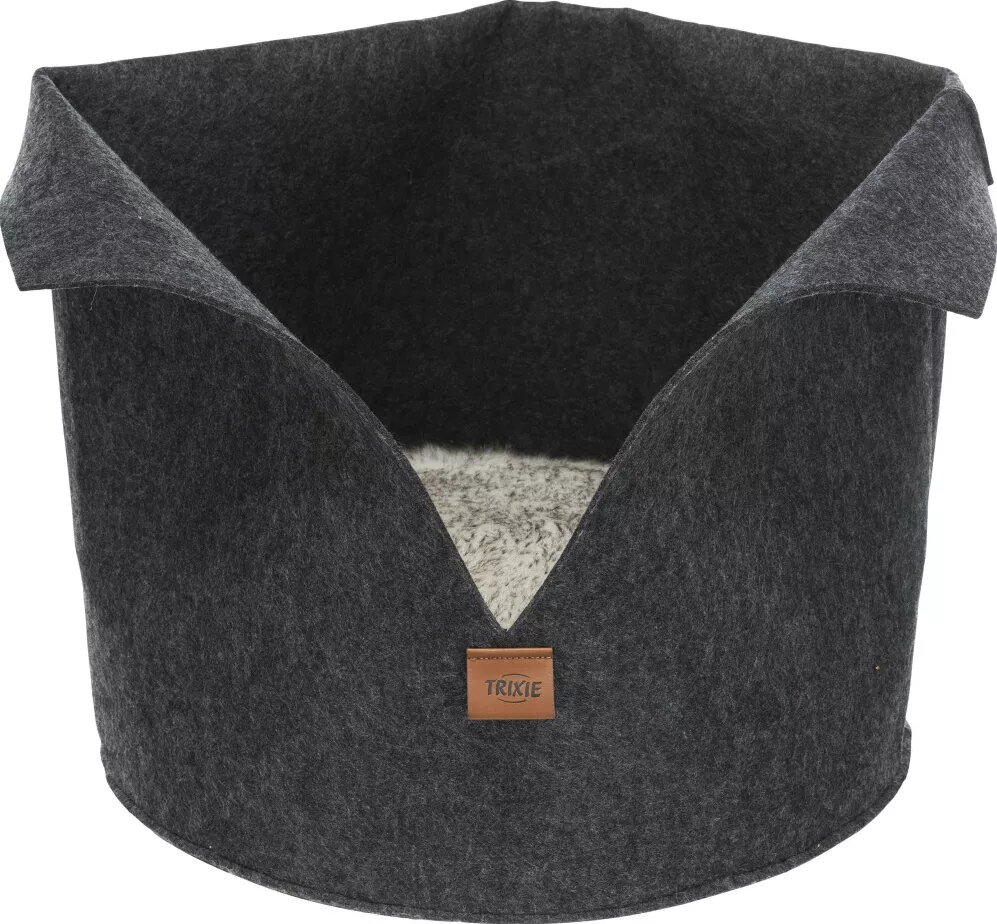 Pet Accessories