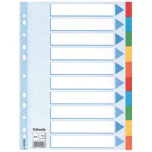 Document divider ESSELTE A4 multicolour card divider 225×297×3 mm, 1 pc