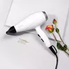 Фен Babyliss Speed Pro 6704WE Photo 7