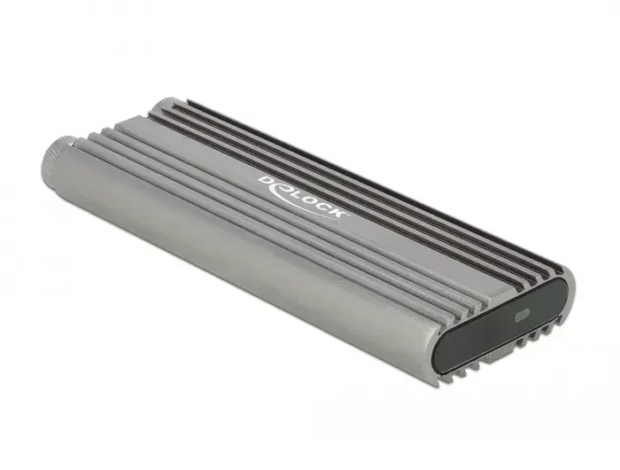 Корпус SSD DeLOCK 42001 Photo 2