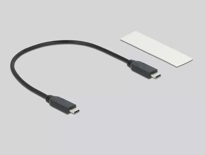 Корпус SSD DeLOCK 42001 Photo 3