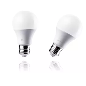 Energy-saving lamp Tracer TRAZAR46501