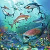 Ravensburger Ocean Life puzzle — 49 pieces Photo 3