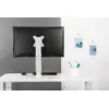 Monitor Desk Mount Neomounts FPMA-D890WHITE Photo 8