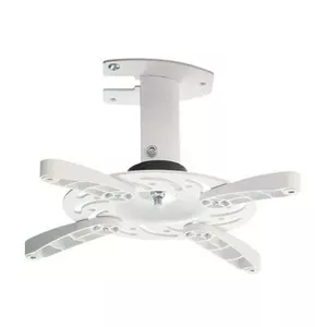 Ceiling Mount Vivolink VLMC101-H