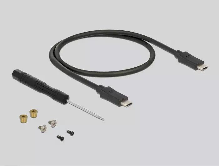 Корпус SSD DeLOCK 42003 Photo 4