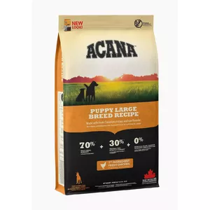 Dry dog food ACANA Puppy Large Breed Recipe 17 kg — chicken, 33% protein, 15% fat