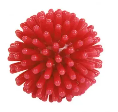 Bumba Trixie Hedgehog Ball Photo 2