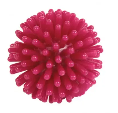 Bumba Trixie Hedgehog Ball Photo 6