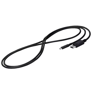 EIZO CP200-BK DisplayPort кабель 2 m USB C Черный