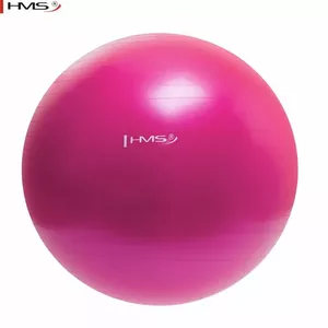 Gymnastic Exercise & Rehabilitation Ball HMS YB01 55 cm diameter with pump, Pink