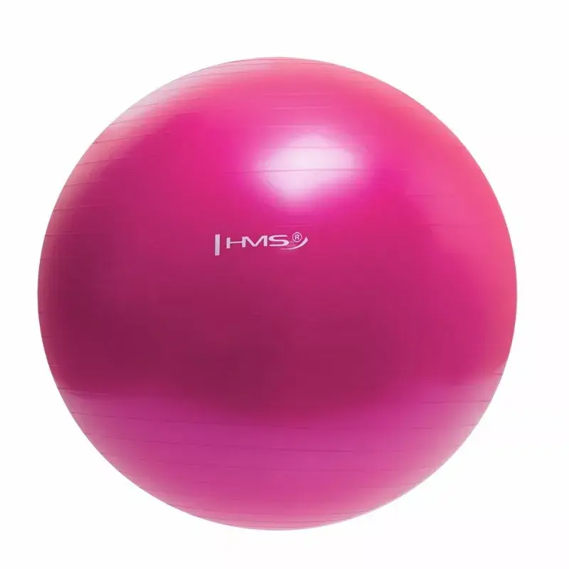 Gimnastikas bumba HMS YB01 55 cm Photo 2