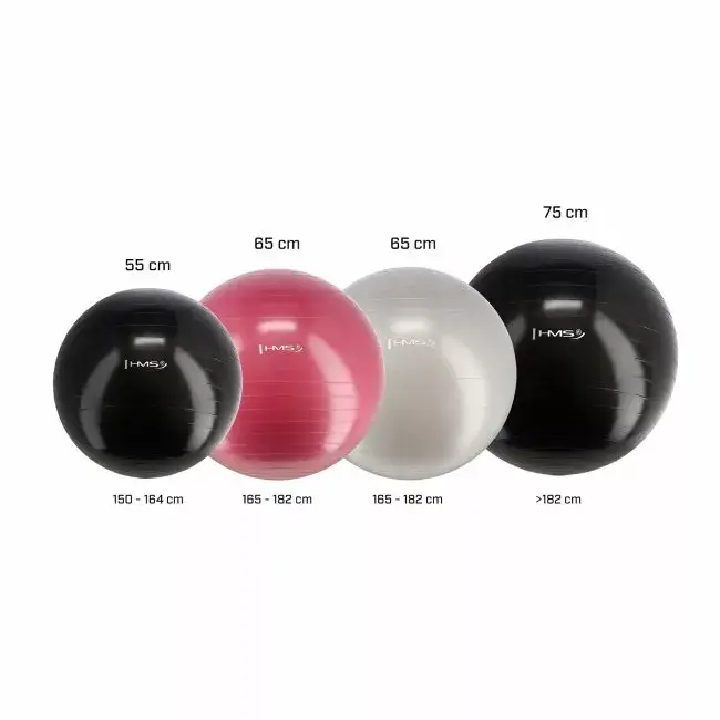 Gimnastikas bumba HMS YB01 55 cm Photo 5