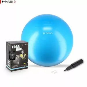 Gymnastic Exercise & Rehabilitation Ball HMS YB01 — 75 cm Diameter, Includes Pump, Azure Blue