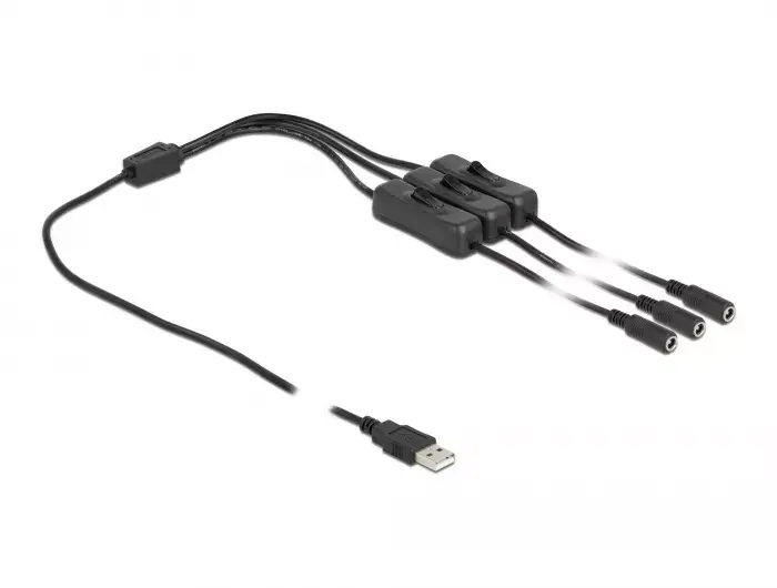 USB Type-A male to 3 x DC 5.5 x 2.1 mm female DeLOCK 86798 Photo 2