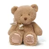 Spin Master GUND My 1st Teddy Plush Toy 25 cm Photo 3