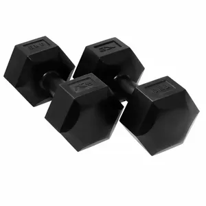 SportVida 2in1 GYM & Fitness SV-HK0217, Dumbbells, Rods, Discs