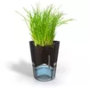 Herb pot GEFU BOTANICO 18920 Photo 5